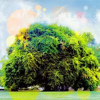 Виниловая пластинка Yo La Tengo -  Fade (Black Vinyl LP)