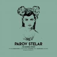 Виниловая пластинка Parov Stelar - The Burning Spider (Black Vinyl 2LP)