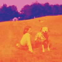 Виниловая пластинка Eels - Blinking Lights And Other Revelations (coloured) (Сoloured Vinyl 3LP)