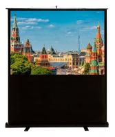 Экран Cactus FloorCompactExpert CS-PSFLCE-120x90