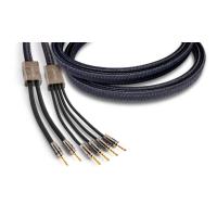Акустический кабель Clarus Aqua Speaker Bi-Wire Banana to Banana CABW 6.0FT