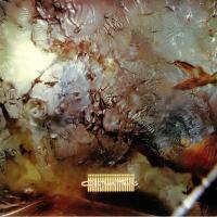 Виниловая пластинка Cocteau Twins — HEAD OVER HILLS (LP)