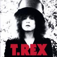 Виниловая пластинка T. Rex - The Slider (Black Vinyl LP)