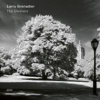 Виниловая пластинка Larry Grenadier, The Gleaners (180g)