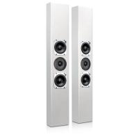Настенная акустика Totem Acoustic Tribe III White