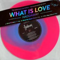 Виниловая пластинка Haddaway - What Is Love (EP) (V10) (Fluorescent Blue-in-Pink Vinyl LP)