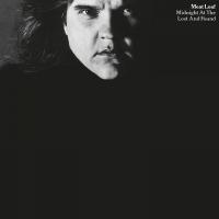Виниловая пластинка Meat Loaf – Midnight At The Lost And Found (Silver & Black Marbled Vinyl LP)