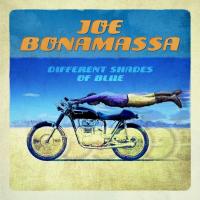 Виниловая пластинка Joe Bonamassa - Different Shades Of Blue (10th Anniversary, 180 Gram, Blue Vinyl LP2)