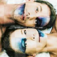 Виниловая пластинка Lamb - The Secret Of Letting Go (Black Vinyl LP)