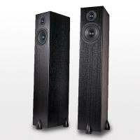 Напольная акустика Totem Acoustic Sky Tower Black Ash