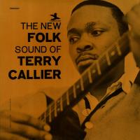 Виниловая пластинка Terry Callier - The New Folk Sound Of Terry Callier (Black Vinyl LP)