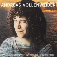 Виниловая пластинка Andreas Vollenweider - Behind The Gardens - Behind The Wall - Under The Tree (Black Vinyl LP)