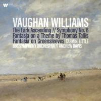 Виниловая пластинка Tasmin Little; Davis, Andrew - Williams: The Lark Ascending, Symphony No.6, Fantasia On A Theme By Thomas Tallis (Black Vinyl 2LP)