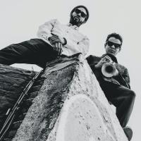 Виниловая пластинка Navarro, Aquiles; Holmes, Tcheser - Heritage Of The Invisible II (Black Vinyl LP)