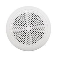 Акустическая система Ecler eIC52MS