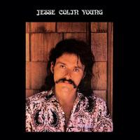 Виниловая пластинка Jesse Colin Young - Song For Juli (Analogue) (Black Vinyl LP)