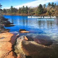 Виниловая пластинка Bill Brovold, Saft, Jamie - Serenity Knolls (Black Vinyl LP)