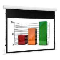 Экран Euroscreen Diplomat Electric Video (4:3) 240*210cm (VA230*172,5) TabT Flexwhite case white