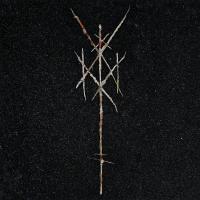 Виниловая пластинка WIEGEDOOD - There’s Always Blood At The End Of The Road (180 Gram Black Vinyl)
