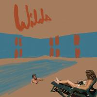 Виниловая пластинка Andy Shauf - Wilds (coloured) (Сoloured Vinyl LP)