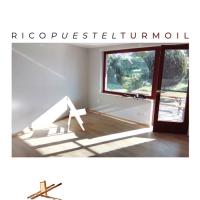 Виниловая пластинка Rico Puestel - Turmoil (Black Vinyl 2LP)