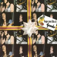 Виниловая пластинка Geordie - Hope You Like It (Grey Vinyl LP)