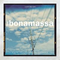 Виниловая пластинка Joe Bonamassa - A New Day Now (Sunburst Blue 2LP)