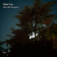 Виниловая пластинка ECM ODED TZUR, HERE BE DRAGONS (LP 180 gr)