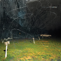 Виниловая пластинка Yo La Tengo -  This Stupid World (Black Vinyl 2LP)