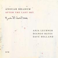 Виниловая пластинка Anouar Brahem - After The Last Sky (Black Vinyl 2LP)