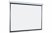 Настенный экран Lumien [LEP-100125] Eco Picture 190х300см (рабочая область 182х292 см) Matte White