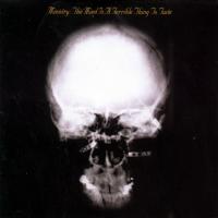 Виниловая пластинка Ministry - Mind Is A Terrible Thing To Taste (Black Vinyl 2LP)