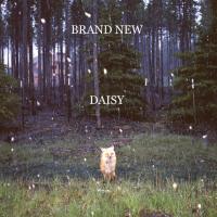 Виниловая пластинка Brand New -  Daisy (Black Vinyl LP)