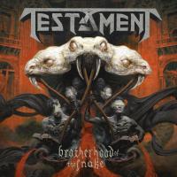 Виниловая пластинка Testament - Brotherhood Of The Snake (Green Vinyl LP)