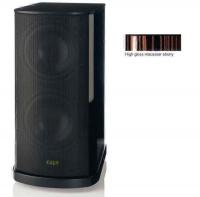 Сабвуфер T+A TCD 610 W SE High Gloss Macassar Ebony