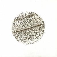 Виниловая пластинка The Gathering -  Beautiful Distortion (Black Vinyl LP)