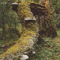 Виниловая пластинка Jan Jelinek - Kosmischer Pitch (Black Vinyl LP)