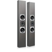 Настенная акустика Totem Acoustic Tribe III Metallic Grey