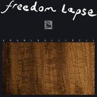 Виниловая пластинка Adam Halliwell - Freedom Lapse (Black Vinyl LP)