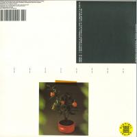 Виниловая пластинка Polygonia; Popp - Candid (Black Vinyl LP)