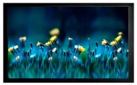 Экран на раме Cactus FrameExpert CS-PSFRE-200x113