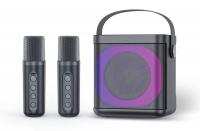 Переносная караоке система Iconbit K702B