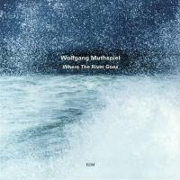 Виниловая пластинка Wolfgang Muthspiel, Where The River Goes (180g)