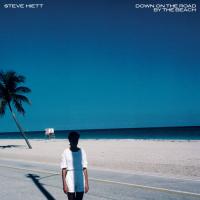 Виниловая пластинка Steve Hiett - Down On The Road By The Beach (Black Vinyl LP)