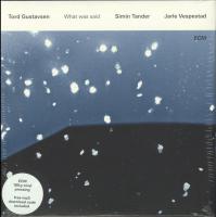 Виниловая пластинка Tord Gustavsen TORD GUSTAVSEN: WHAT WAS SAID