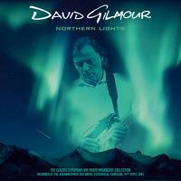 Виниловая пластинка David Gilmour - Northern Lights (Turquoise Marble Vinyl 2LP)