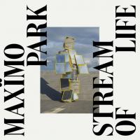 Виниловая пластинка Maximo Park -  Stream Of Life (Black Vinyl LP)