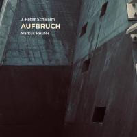 Виниловая пластинка Jan Peter Schwalm - Aufbruch (Black Vinyl LP)