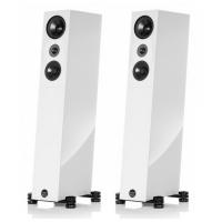 Напольная акустика Audio Physic Codex Glass White high gloss