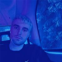 Виниловая пластинка Fred Again.. - Actual Life 3 (Black Vinyl LP)